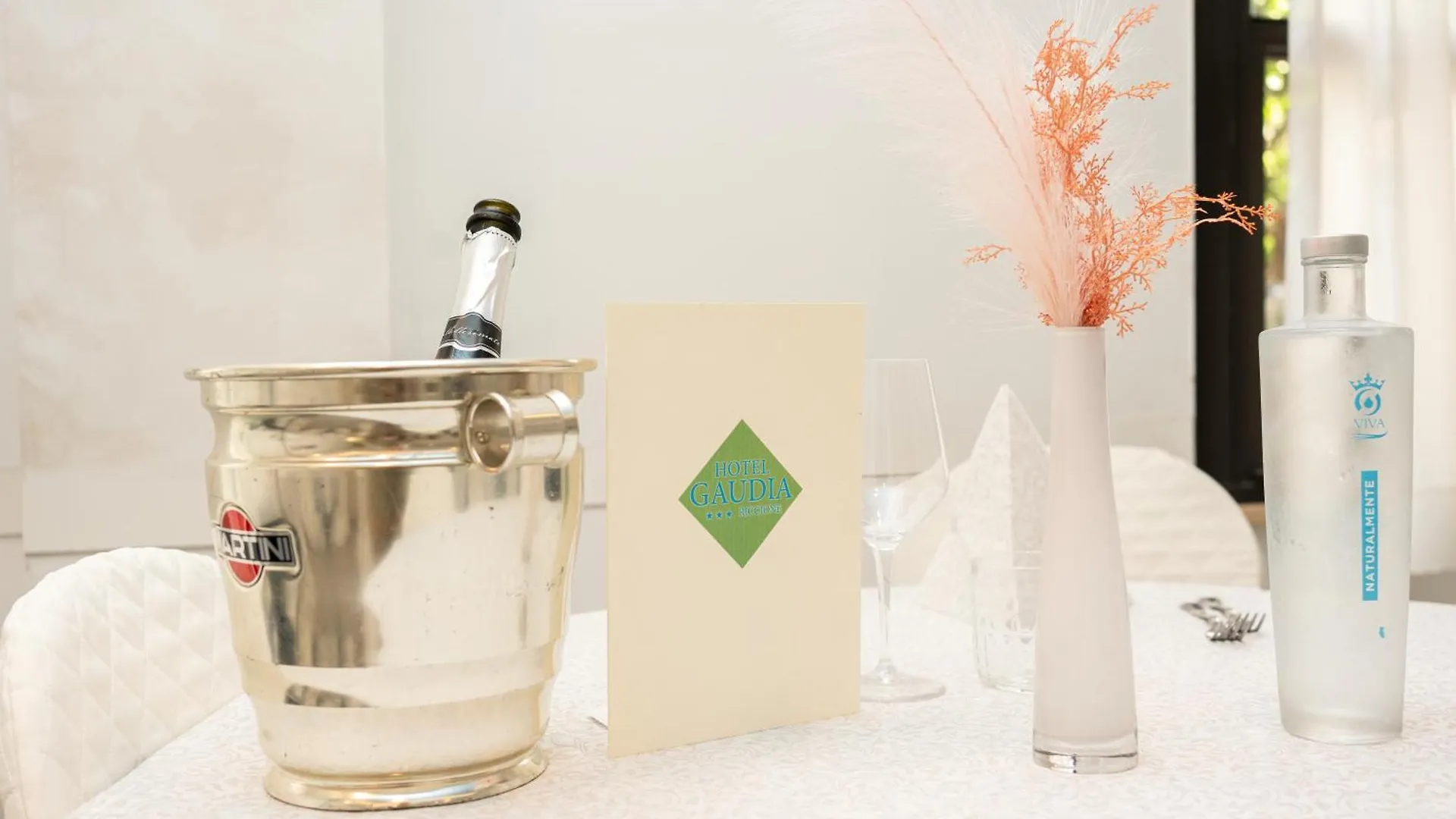 Hotel Gaudia Riccione